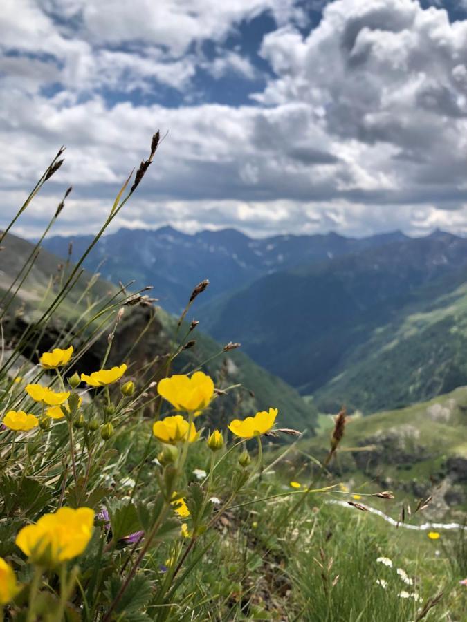 Appartamento La Casa di Olivo Tassullo Esterno foto